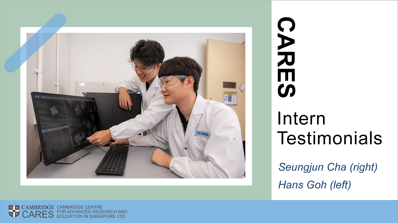 CARES intern testimonials Seungjun Cha and Hans Goh Cambridge CARES